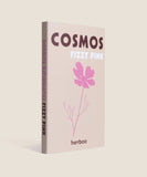 Cosmos Fizzy Pink Seeds