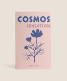 Cosmos Sensation Seeds