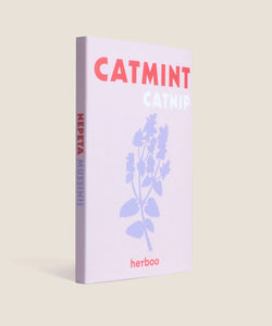 Catmint Catnip Seeds